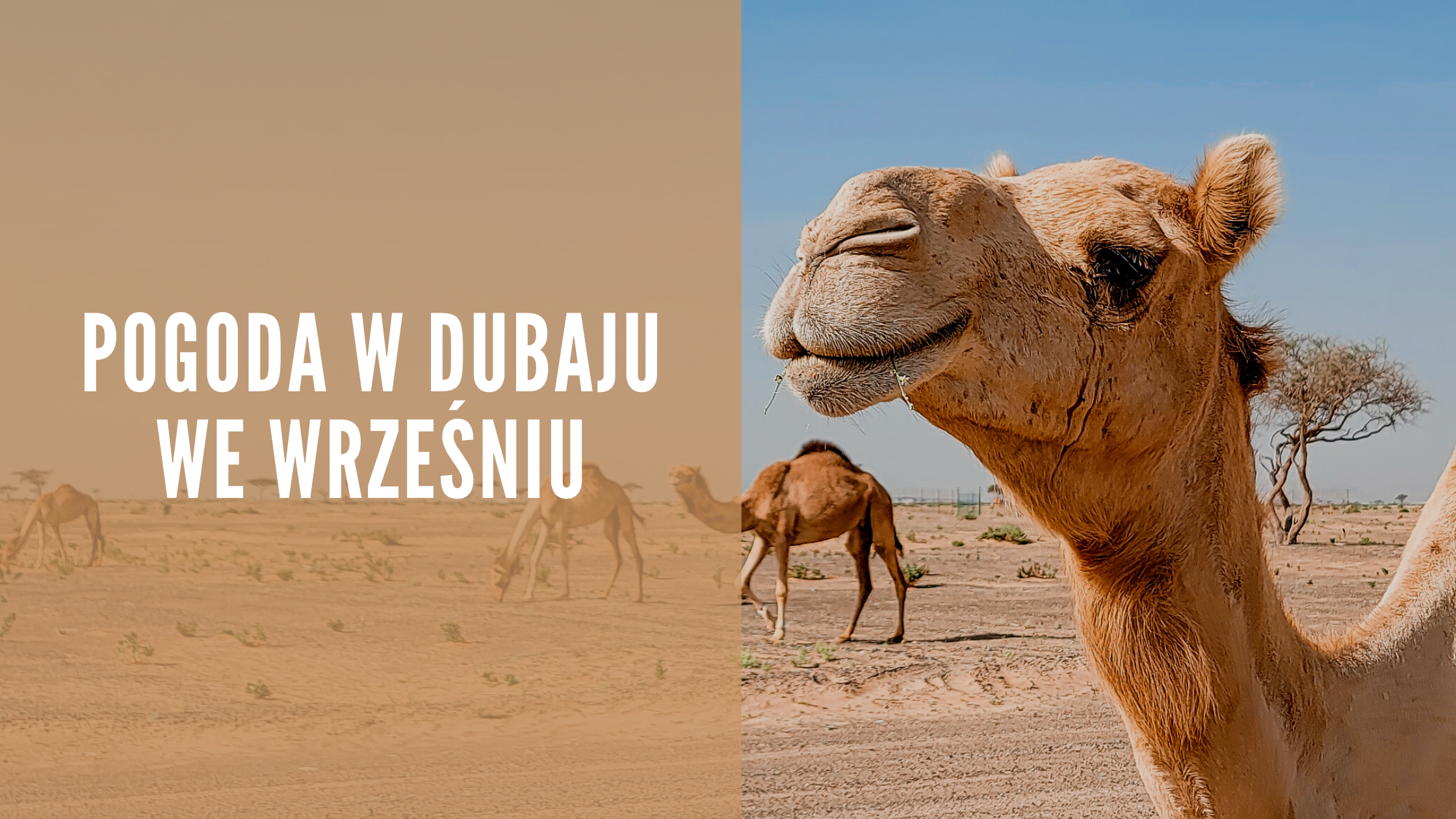 grafiki do postow na bloga 10 - O BLOGU "Zwiedzanie Dubaju"