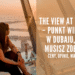 The View at The Palm – Punkt widokowy w Dubaju, który musisz zobaczyć! Ceny, opinie, wady i zalety